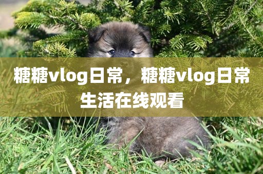 糖糖vlog日常，糖糖vlog日常生活在线观看