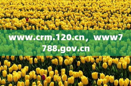 www.crm.120.cn，www7788.gov.cn