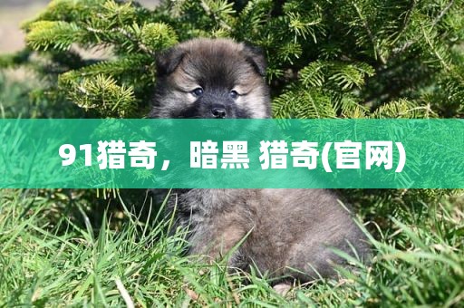 91猎奇，暗黑 猎奇(官网)