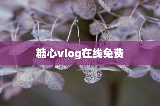 糖心vlog在线免费