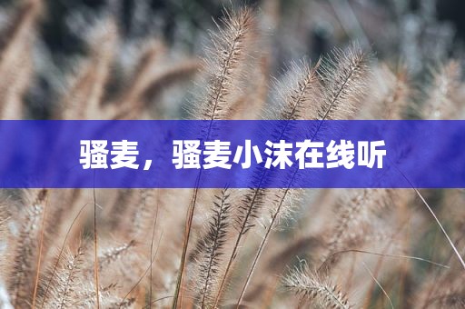 骚麦，骚麦小沫在线听
