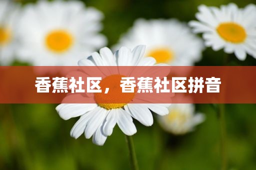 香蕉社区，香蕉社区拼音