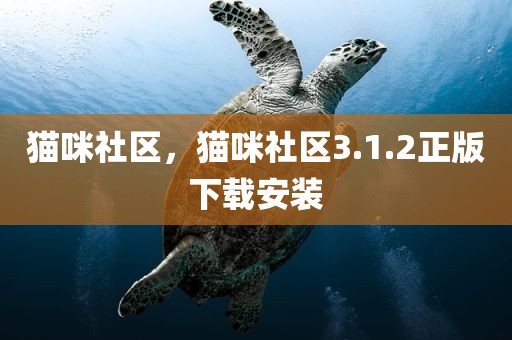 猫咪社区，猫咪社区3.1.2正版下载安装