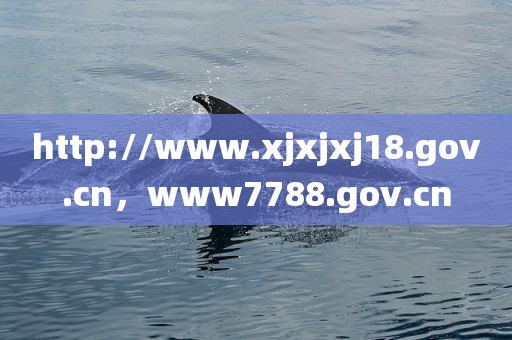 http://www.xjxjxj18.gov.cn，www7788.gov.cn