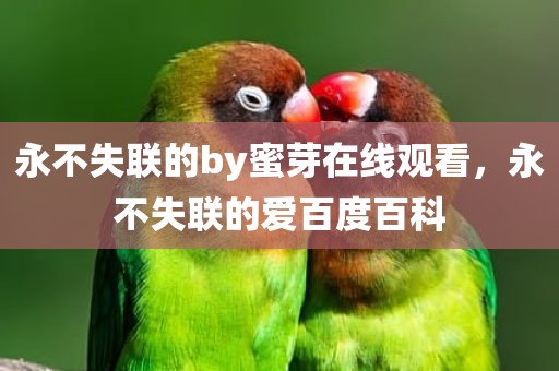 永不失联的by蜜芽在线观看，永不失联的爱百度百科