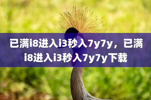 已满i8进入i3秒入7y7y，已满i8进入i3秒入7y7y下载