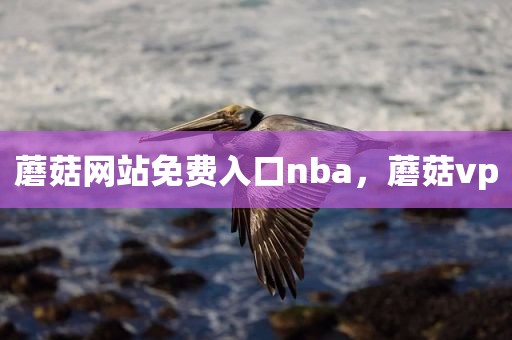 蘑菇网站免费入口nba，蘑菇vp