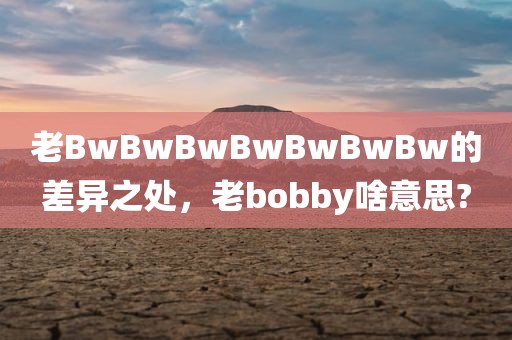 老BwBwBwBwBwBwBw的差异之处，老bobby啥意思?