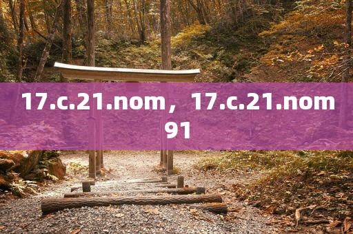 17.c.21.nom，17.c.21.nom91