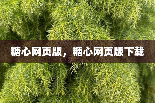 糖心网页版，糖心网页版下载