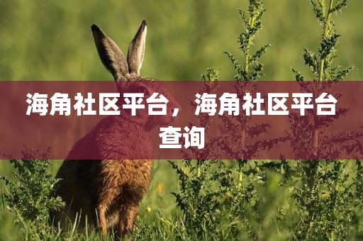 海角社区平台，海角社区平台查询