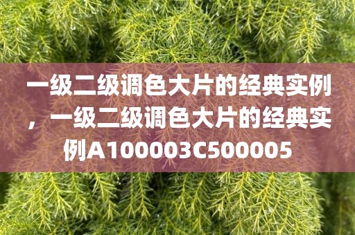 一级二级调色大片的经典实例，一级二级调色大片的经典实例A100003C500005