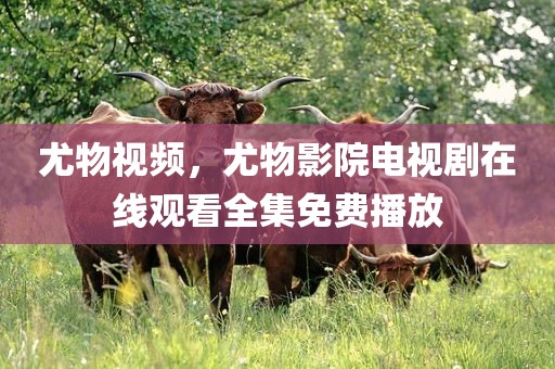尤物视频，尤物影院电视剧在线观看全集免费播放