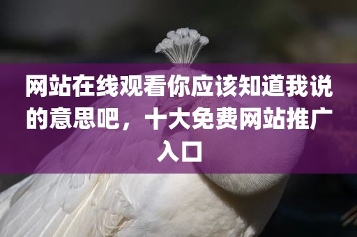 网站在线观看你应该知道我说的意思吧，十大免费网站推广入口