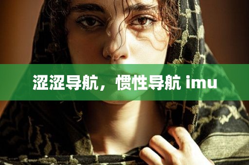 涩涩导航，惯性导航 imu