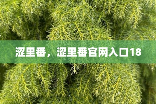涩里番，涩里番官网入口18