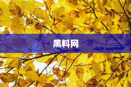 黑料网