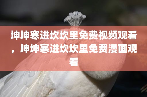 坤坤寒进坎坎里免费视频观看，坤坤寒进坎坎里免费漫画观看