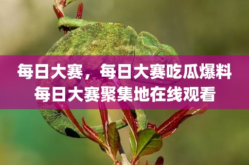每日大赛，每日大赛吃瓜爆料每日大赛聚集地在线观看