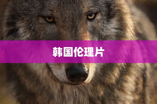 韩国伦理片