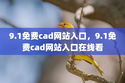 9.1免费cad网站入口，9.1免费cad网站入口在线看