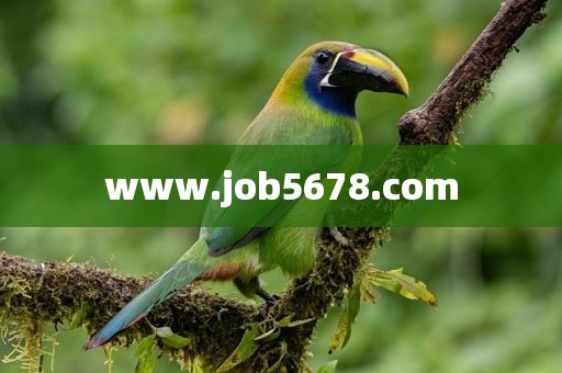 www.job5678.com
