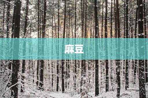 麻豆