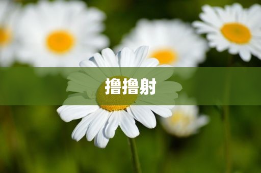 撸撸射