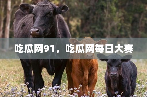 吃瓜网91，吃瓜网每日大赛
