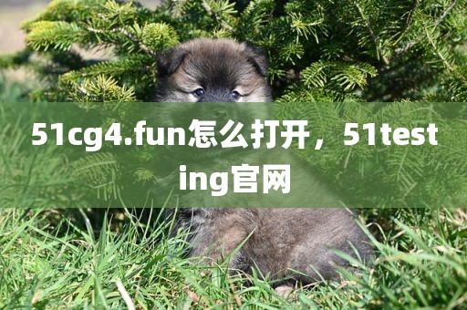51cg4.fun怎么打开，51testing官网