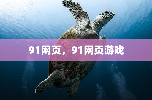 91网页，91网页游戏