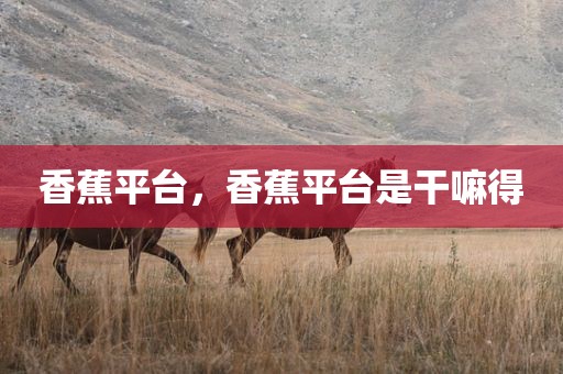 香蕉平台，香蕉平台是干嘛得