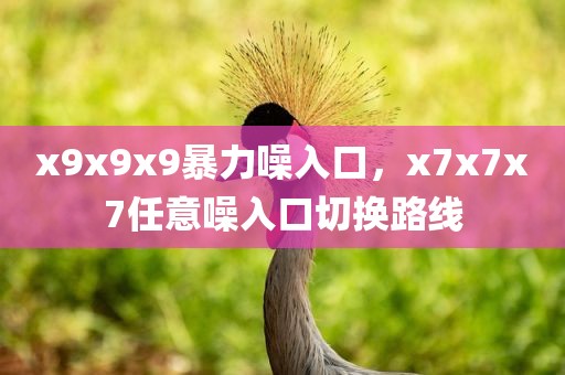 x9x9x9暴力噪入口，x7x7x7任意噪入口切换路线
