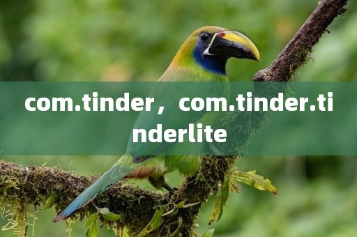 com.tinder，com.tinder.tinderlite