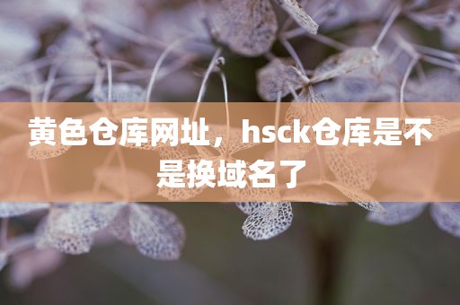 黄色仓库网址，hsck仓库是不是换域名了