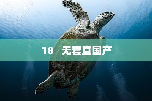 18   无套直国产