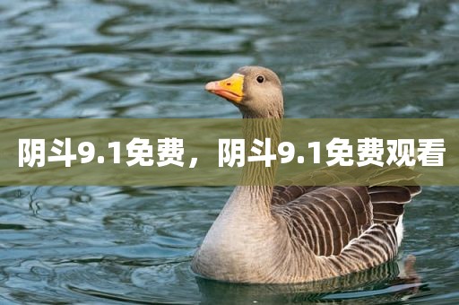 阴斗9.1免费，阴斗9.1免费观看