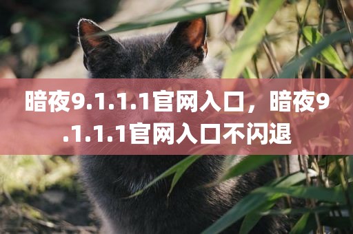 暗夜9.1.1.1官网入口，暗夜9.1.1.1官网入口不闪退