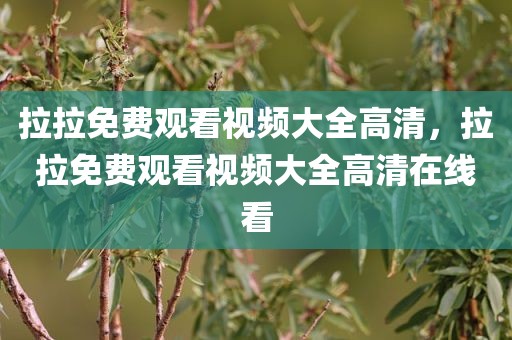 拉拉免费观看视频大全高清，拉拉免费观看视频大全高清在线看