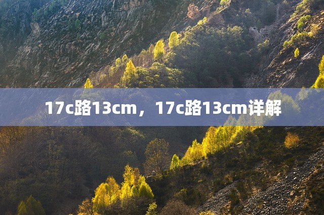 17c路13cm，17c路13cm详解