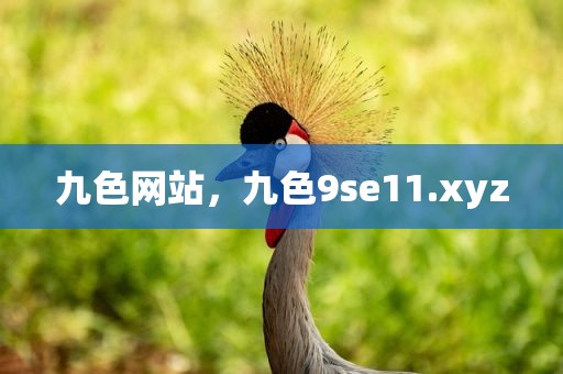 九色网站，九色9se11.xyz