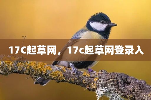 17C起草网，17c起草网登录入