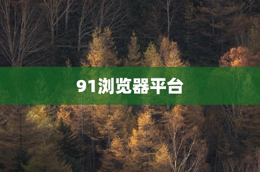 91浏览器平台