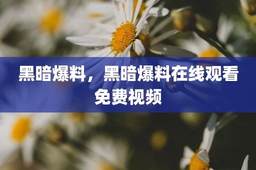 黑暗爆料，黑暗爆料在线观看免费视频