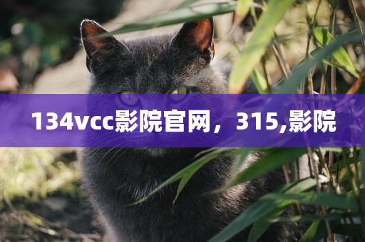 134vcc影院官网，315,影院