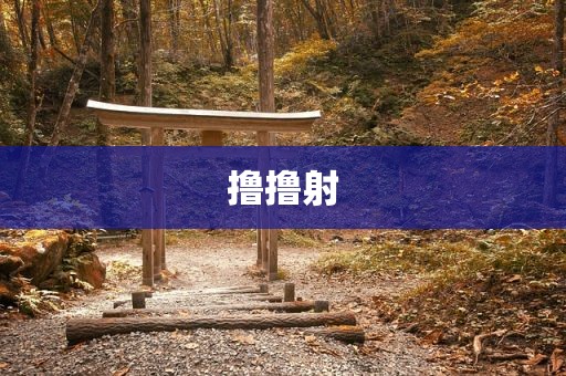 撸撸射