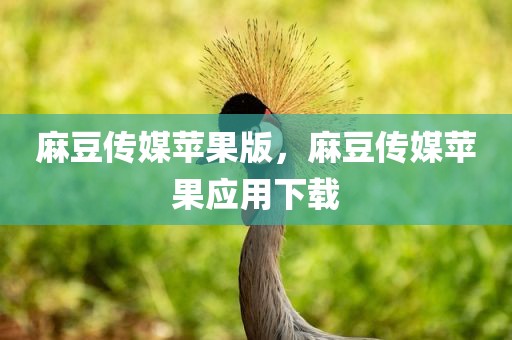 麻豆传媒苹果版，麻豆传媒苹果应用下载