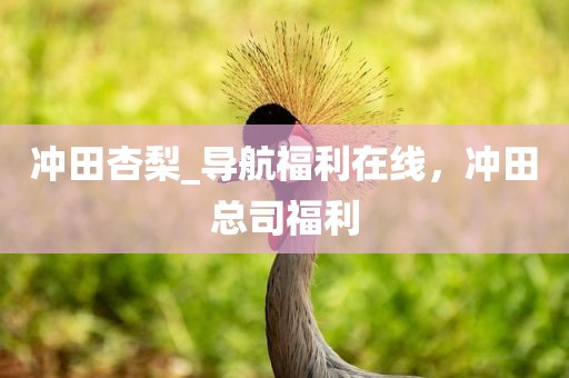 冲田杏梨_导航福利在线，冲田总司福利