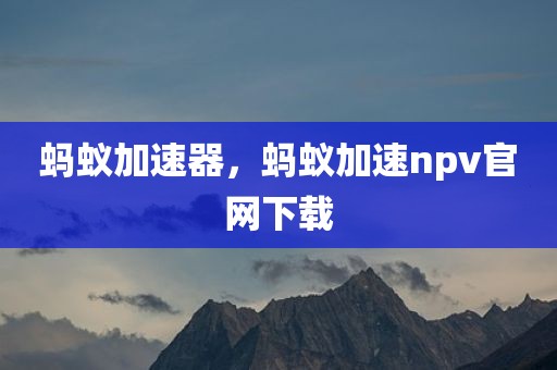 蚂蚁加速器，蚂蚁加速npv官网下载