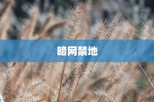 暗网禁地